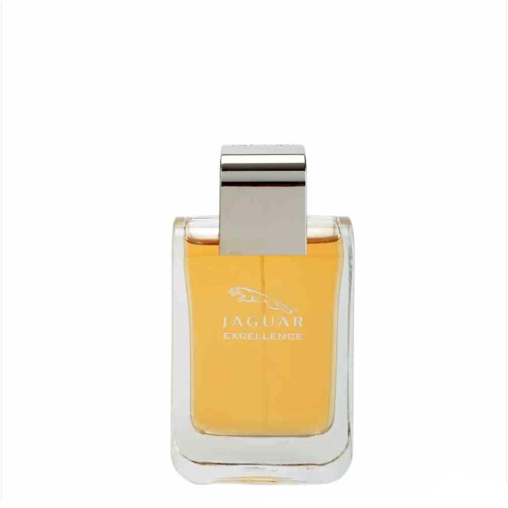Parfums Excellence der Marke Jaguar für Männer 100 ml