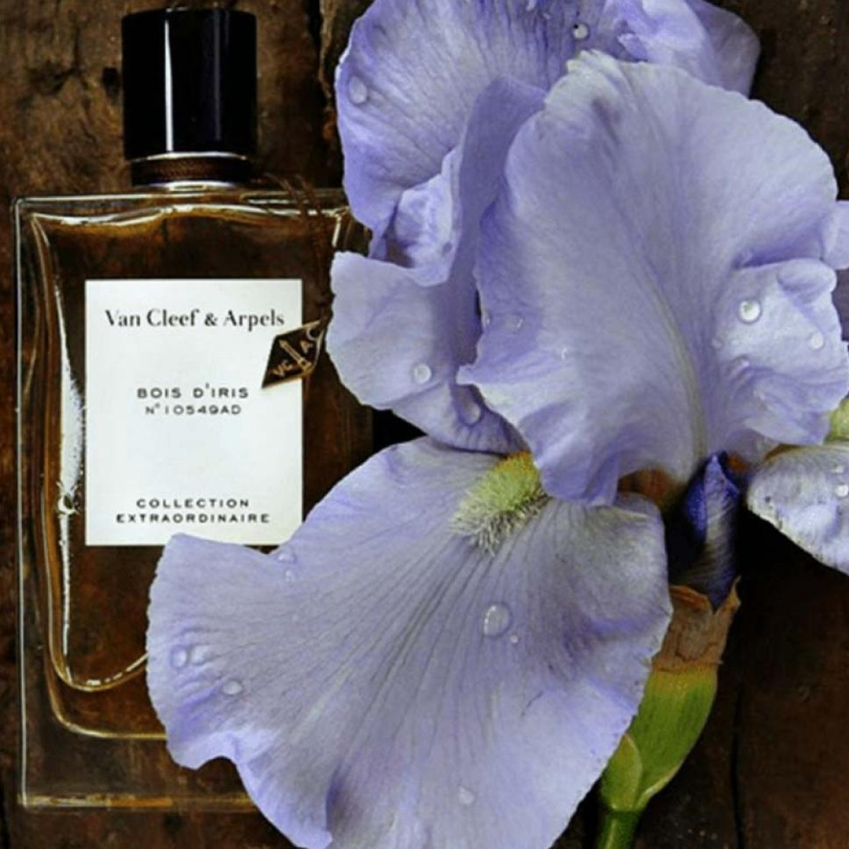 Van Cleef & Arpels - Bois D'iris Collection Extraordinaire - Eau de Parfum Unisex