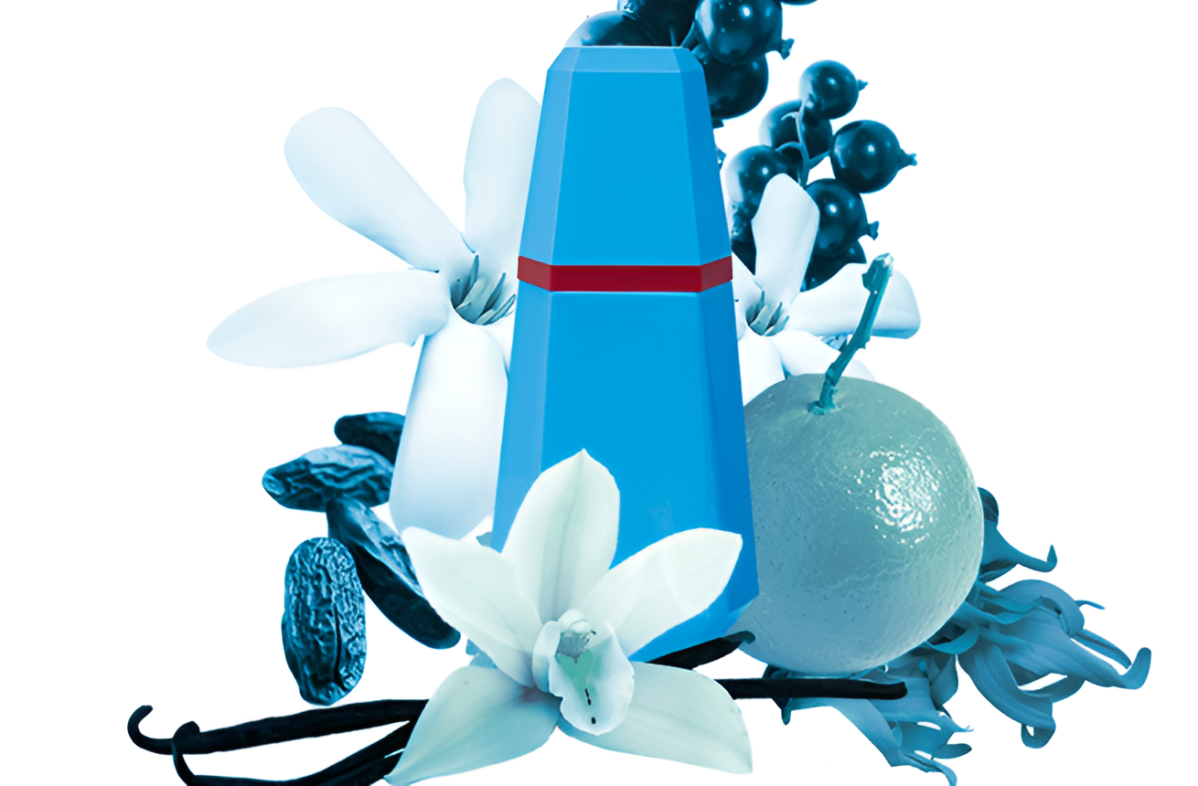 Cacharel - Loulou - Eau de Parfum für Frauen