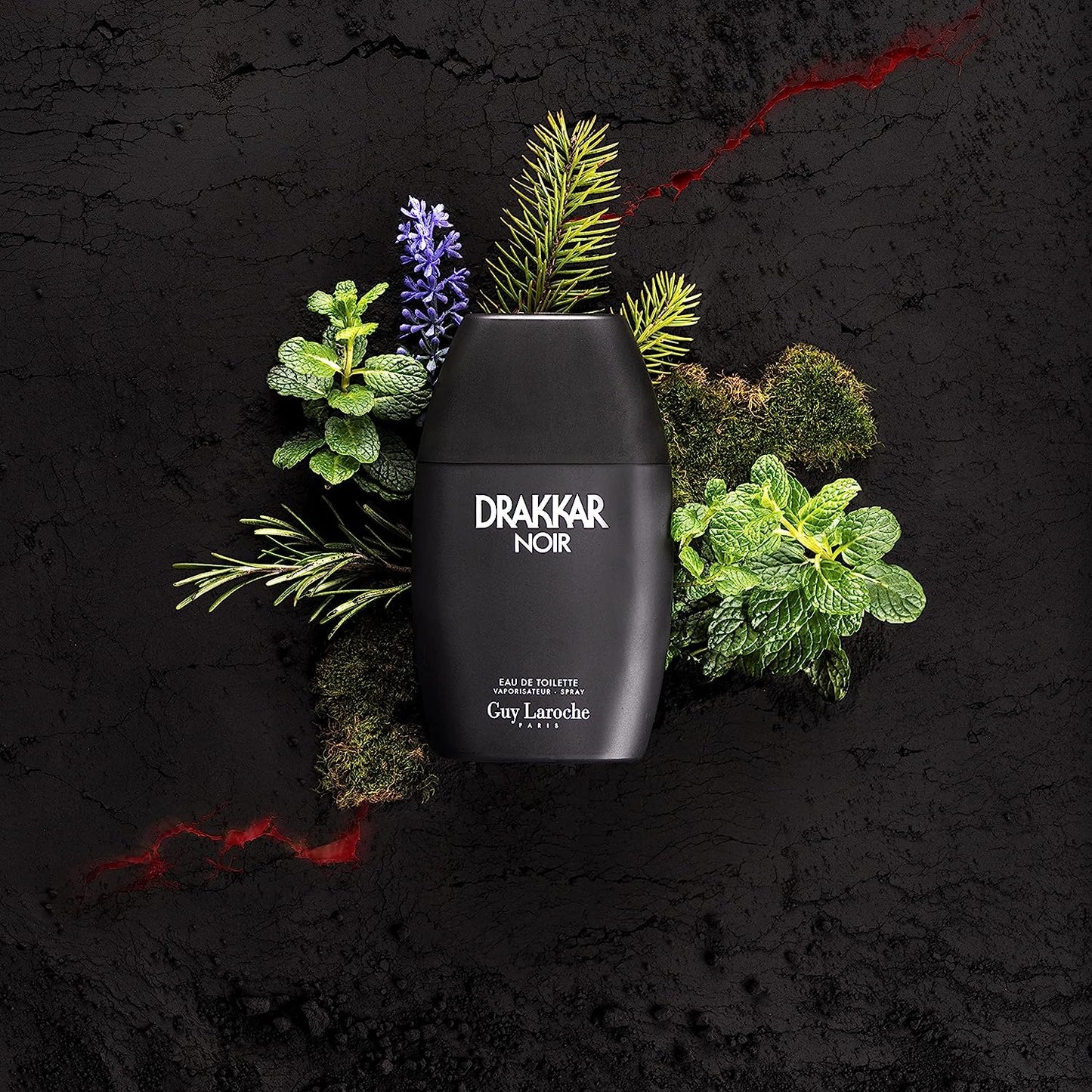 Parfums Drakkar Noir von der Marke Guy Laroche für Männer 100 ml