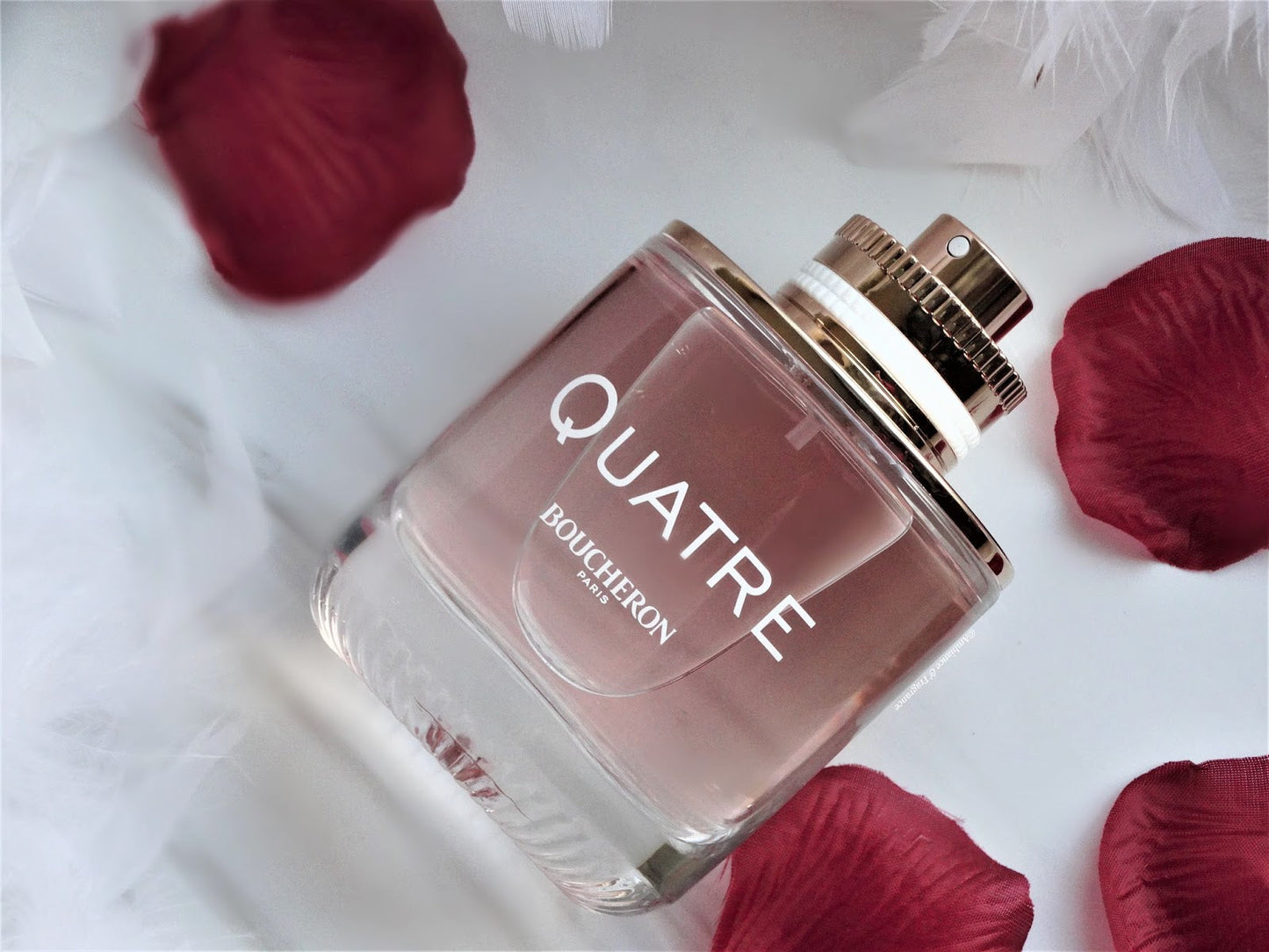 Parfums Quatre von der Marke Boucheron für Damen 100 ml
