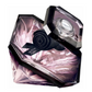 Lancôme - la Nacht Trésor - Eau de Parfum für Damen