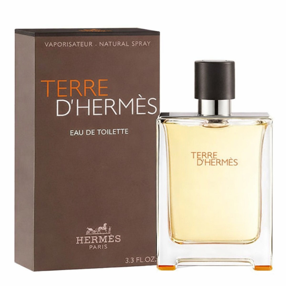 Hermès - Terre D'hermès - Eau de Toilette für Herren