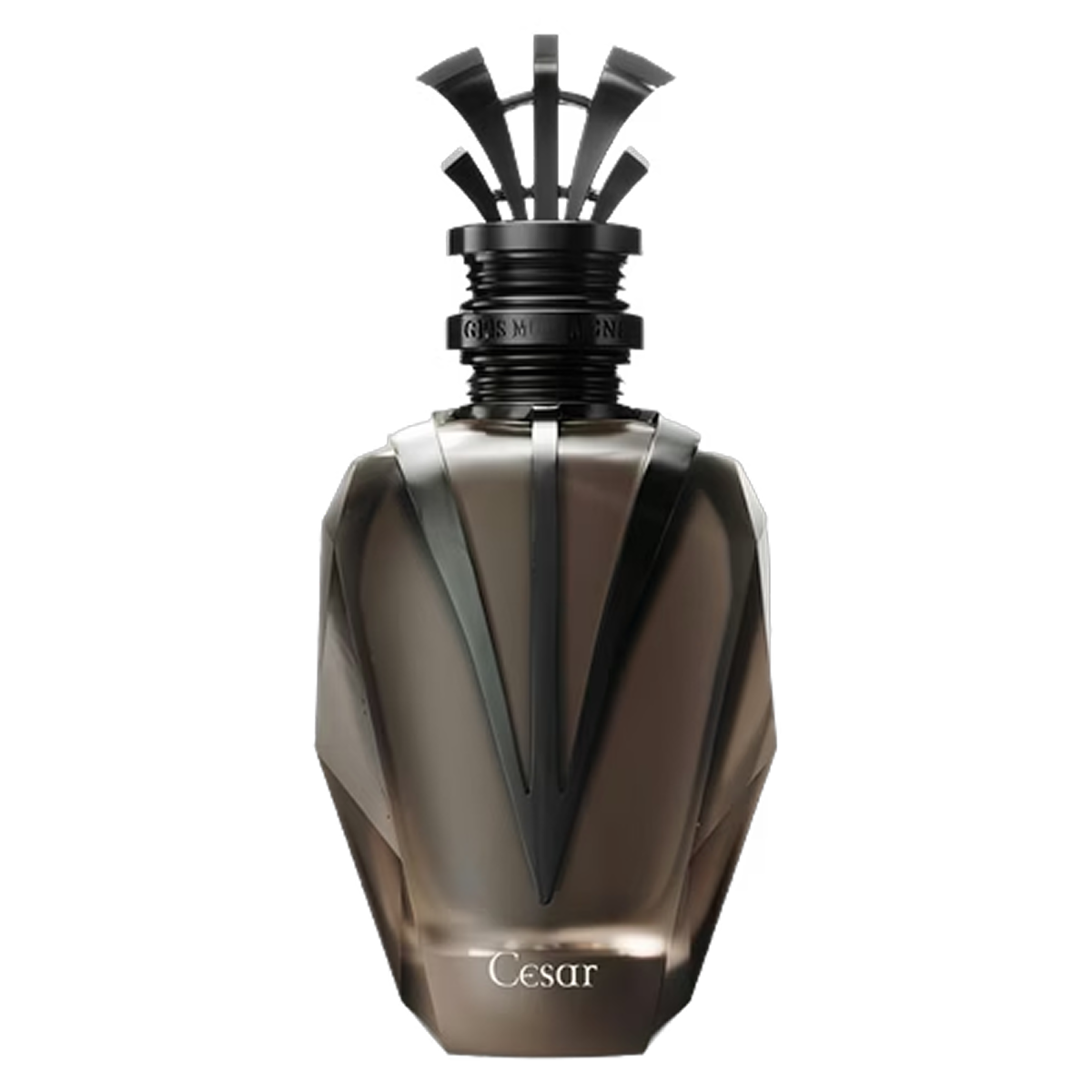 100ml Gris Montaigne - Cesar - Extrait de Parfum  pour Homme
