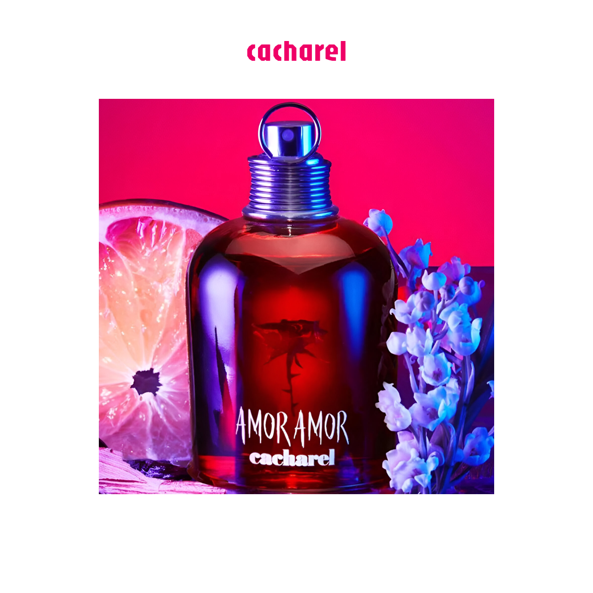 Cacharel - Amor Amor - Eau de Toilette für Damen