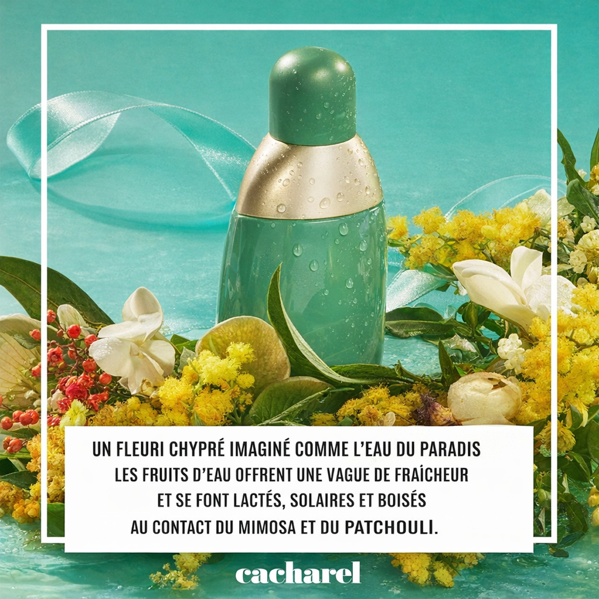 Cacharel - Eden - Eau de Parfum für Damen