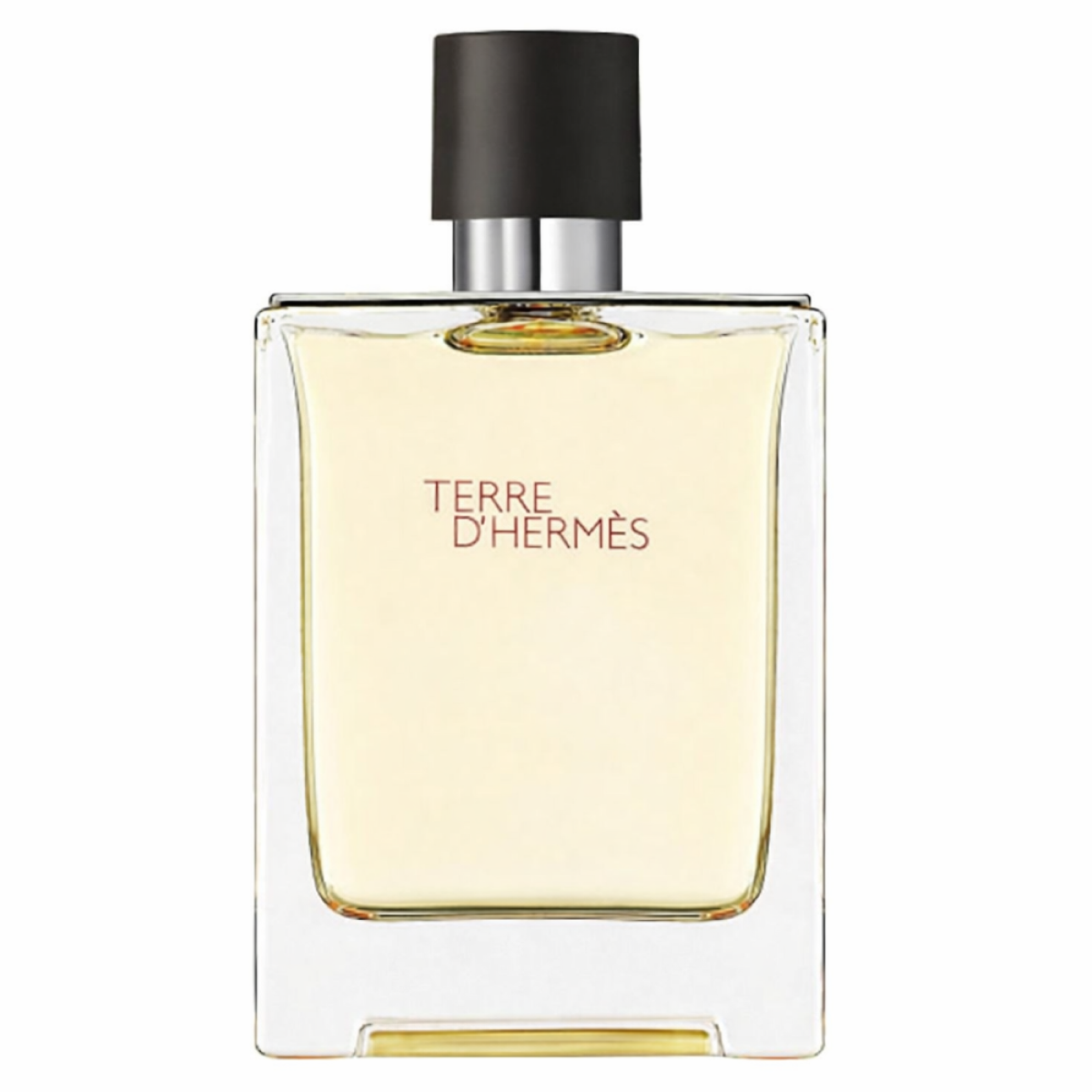Hermès - Terre D'hermès - Eau de Toilette für Herren