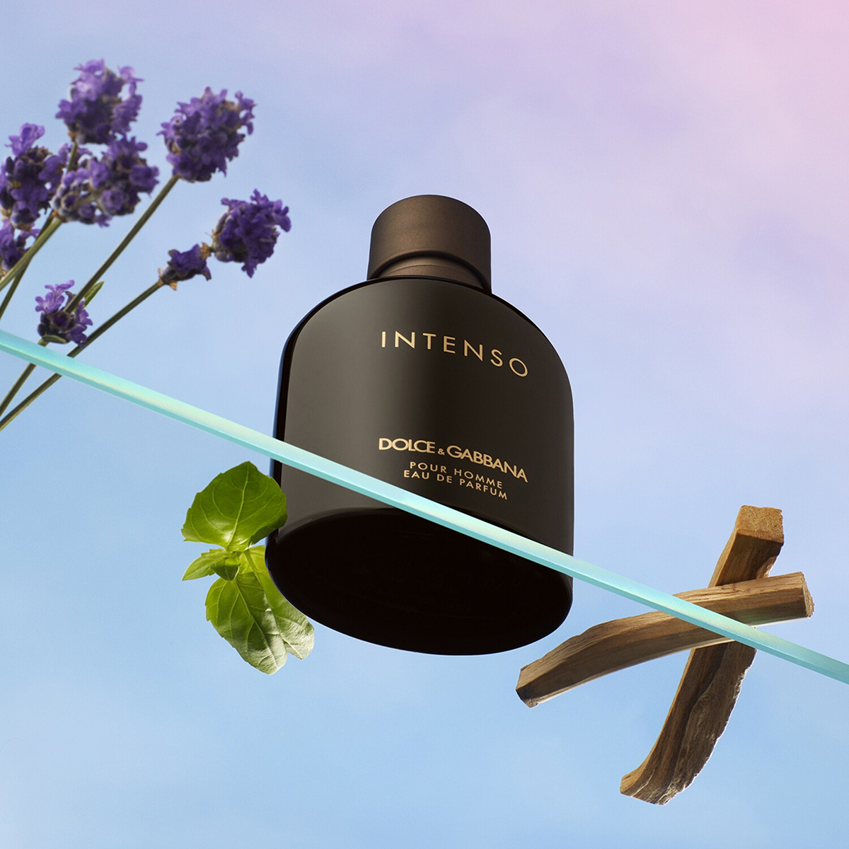 Dolce & Gabbana - Intenso - Eau de Parfum für Herren