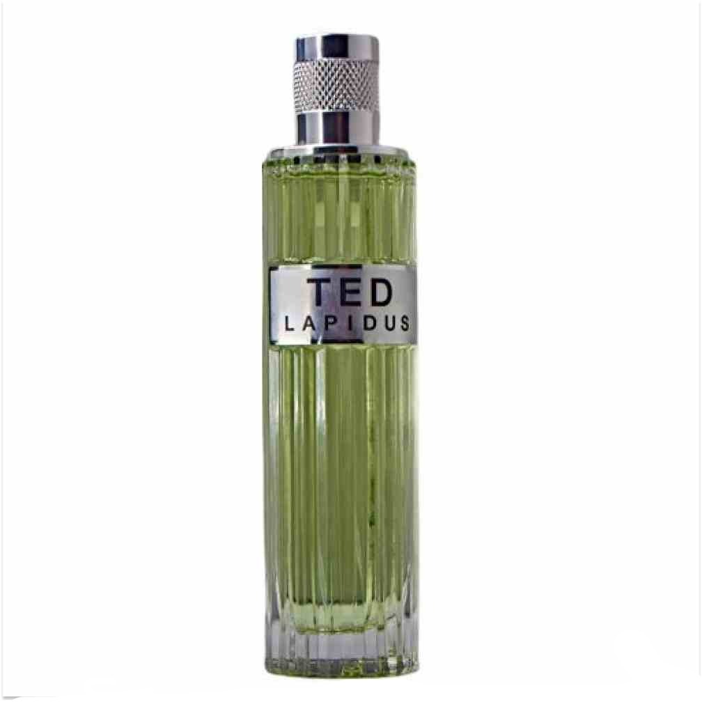 Herrenparfum Bambus von der Marke Ted Lapidus für Herren 100 ml