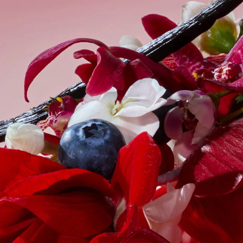 Cacharel - Amor Amor - Eau de Toilette 50ml + Körpermilch 50ml * 2