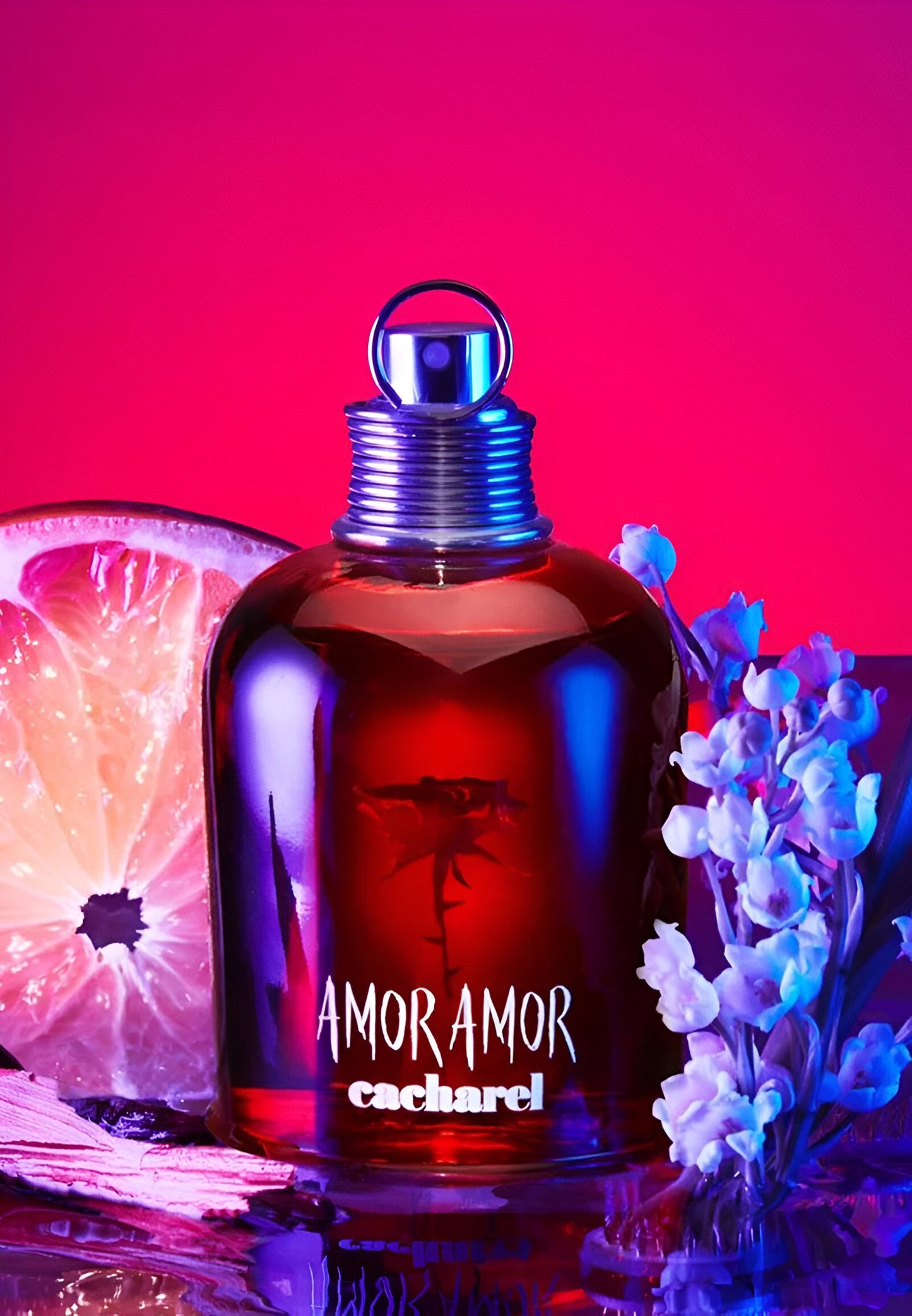 Cacharel - Amor Amor - Eau de Toilette für Frauen