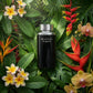 Ted Lapidus - Black Soul - Eau de Toilette für Herren
