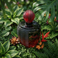 Ted Lapidus - Rumba Passion - Eau de Toilette für Damen